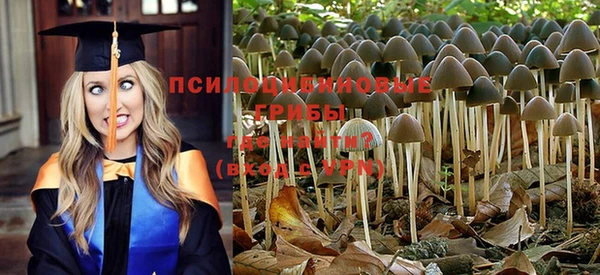 mdpv Майский