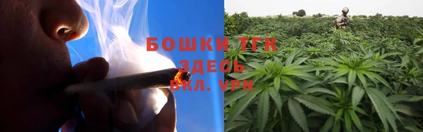 дживик Магас