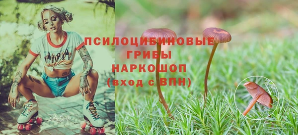 соль ск Магадан