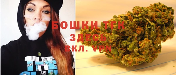 дживик Мегион