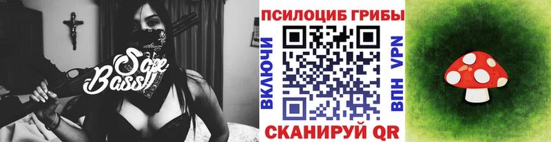 Псилоцибиновые грибы мицелий  Купить  Томари 