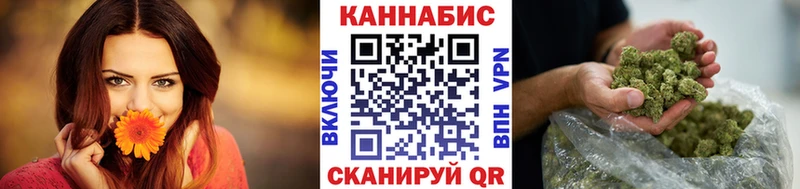 Бошки Шишки Amnesia  Купить где  Томари 